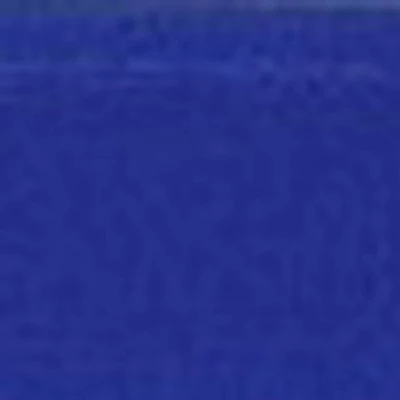 Extra Wide Director's Chair Replacement Canvas Wide Royal Blue - Flora Home